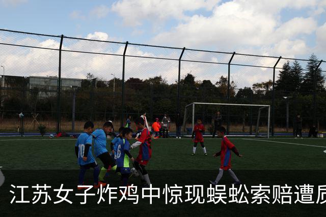 江苏女子炸鸡中惊现蜈蚣索赔遭质疑，商家已停业整顿